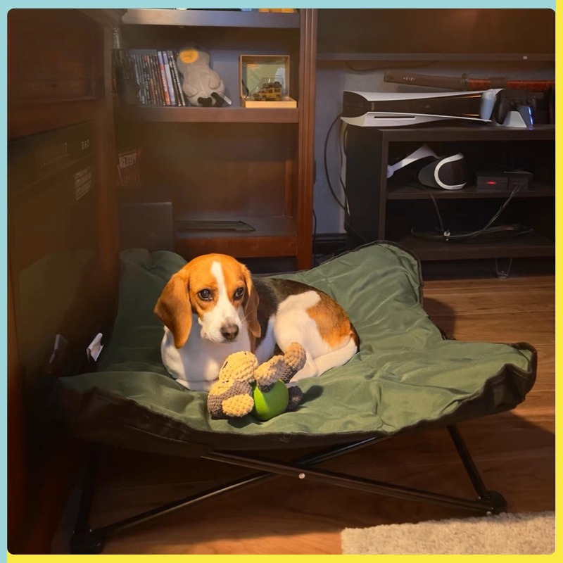 سرير حيوانات أليفة محمول قابل  - مراجعة Outdoor Camping Dog Bed وسعره